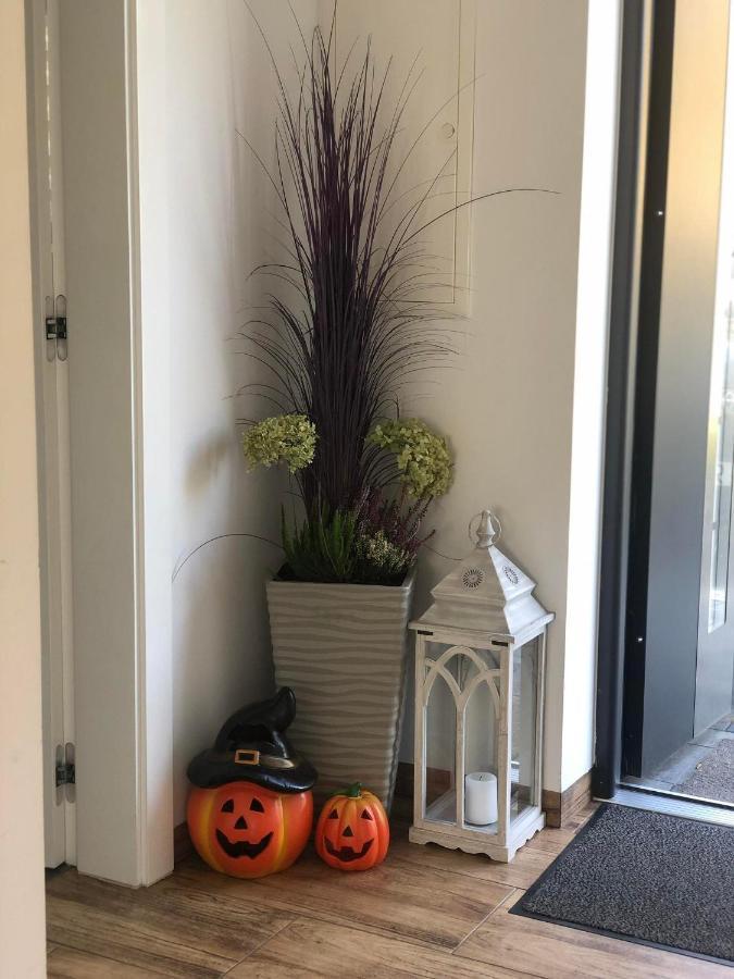 Dom Na Borowkowym Wzgorzu Apartment Palesnica ภายนอก รูปภาพ