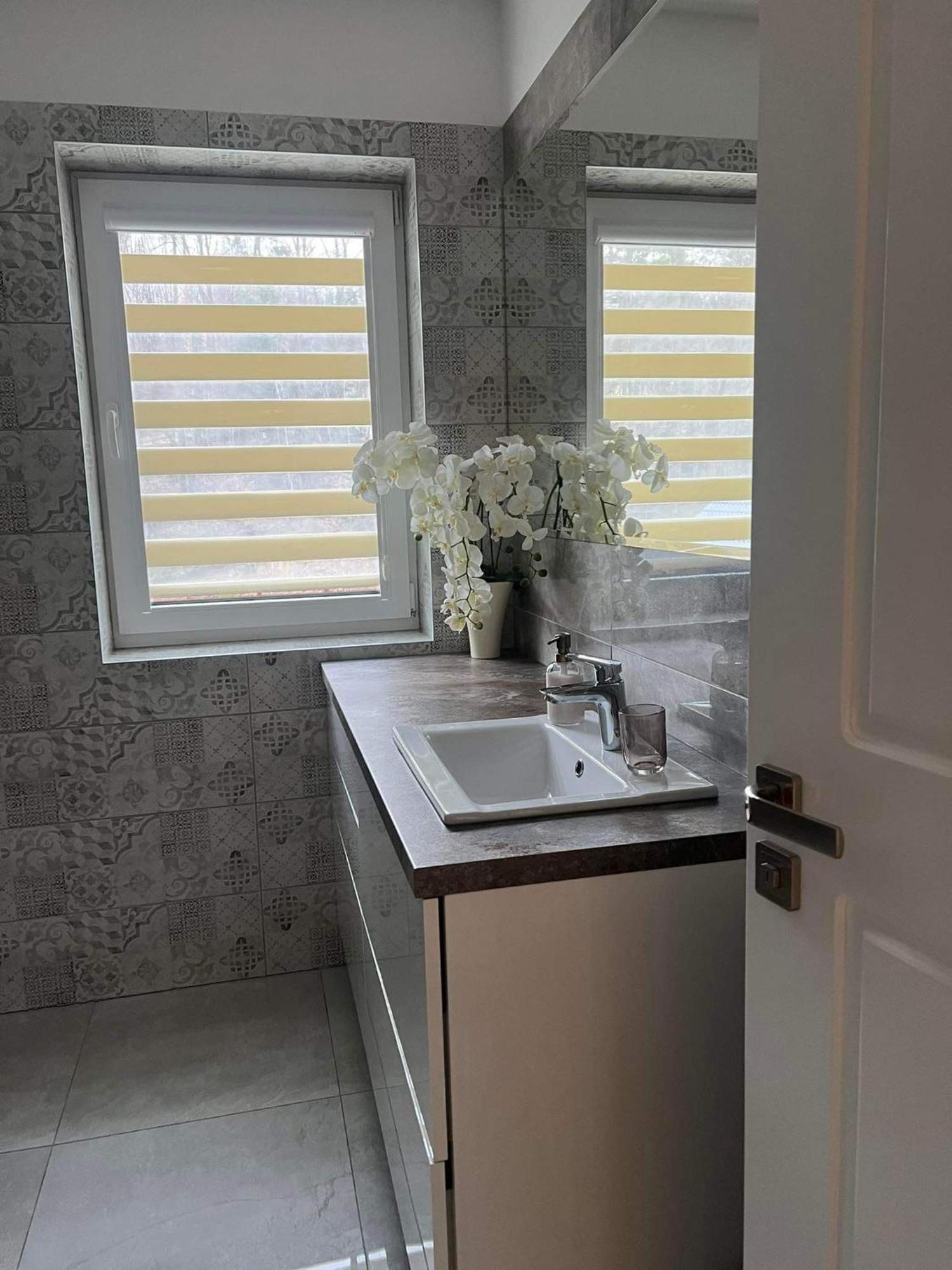 Dom Na Borowkowym Wzgorzu Apartment Palesnica ภายนอก รูปภาพ